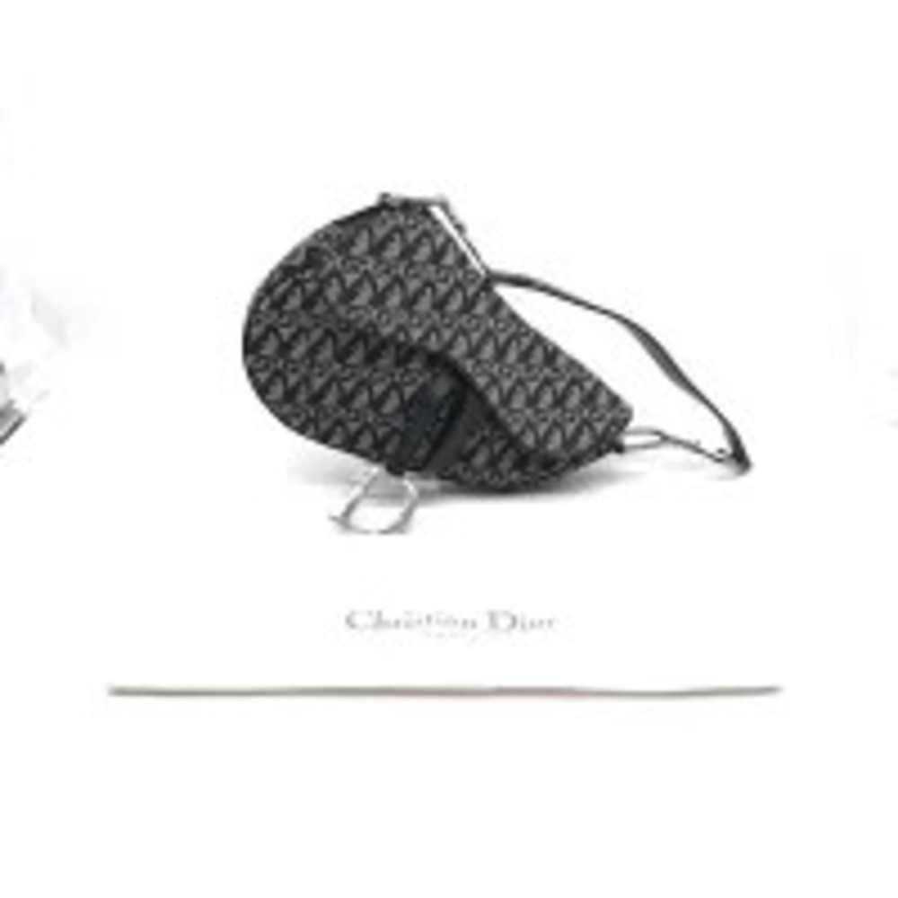 Christian Dior Saddle Bag iconic Oblique canvas